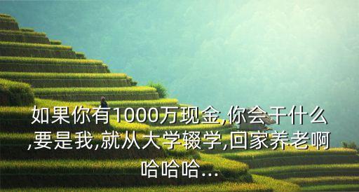 如果你有1000萬現(xiàn)金,你會干什么,要是我,就從大學輟學,回家養(yǎng)老啊哈哈哈...