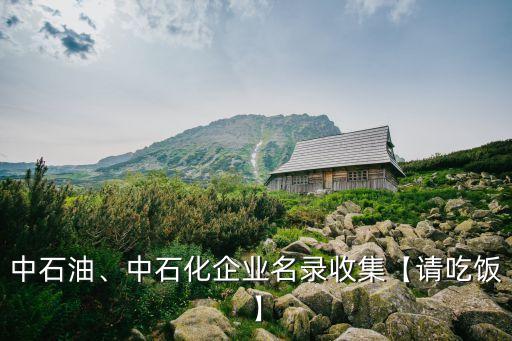中石油、中石化企業(yè)名錄收集【請(qǐng)吃飯】