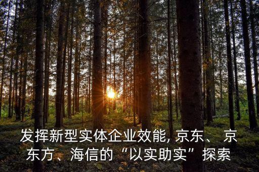 發(fā)揮新型實體企業(yè)效能, 京東、 京東方、海信的“以實助實”探索