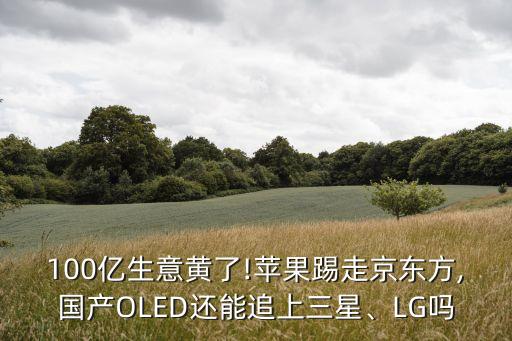 100億生意黃了!蘋果踢走京東方,國產(chǎn)OLED還能追上三星、LG嗎