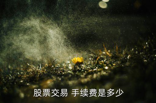 買賣股票手續(xù)費(fèi),10萬(wàn)元買賣股票手續(xù)費(fèi)