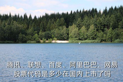  騰訊、聯(lián)想、百度、阿里巴巴、網(wǎng)易 股票代碼是多少在國內(nèi)上市了嗎