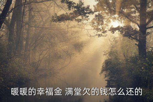 暖暖的幸福金 滿堂欠的錢(qián)怎么還的