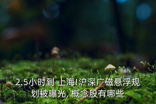 上?？萍紕?chuàng)新中心概念股,科技創(chuàng)新概念股有哪些