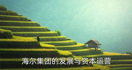 海爾公司財務報表