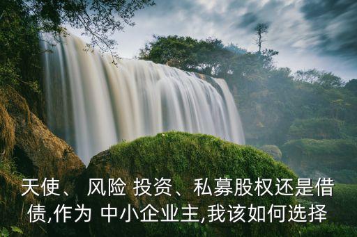 天使、 風(fēng)險(xiǎn) 投資、私募股權(quán)還是借債,作為 中小企業(yè)主,我該如何選擇