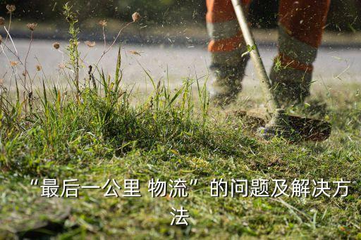 “最后一公里 物流”的問(wèn)題及解決方法