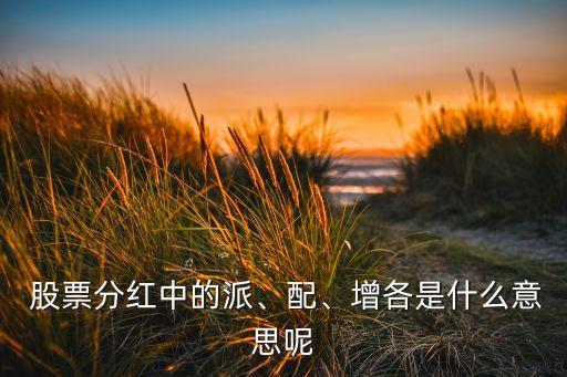  股票分紅中的派、配、增各是什么意思呢