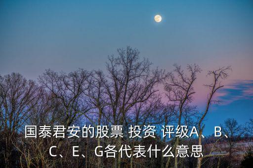 國泰君安的股票 投資 評級A、B、C、E、G各代表什么意思