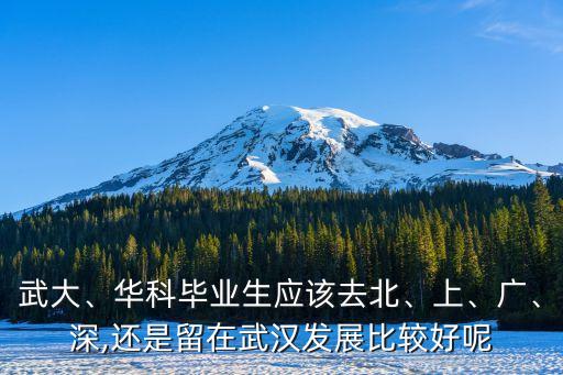 武大、華科畢業(yè)生應(yīng)該去北、上、廣、深,還是留在武漢發(fā)展比較好呢
