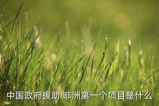 中國政府援助 非洲第一個項(xiàng)目是什么