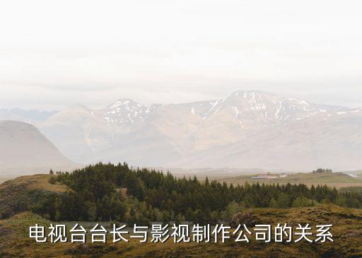 電視臺臺長與影視制作公司的關系