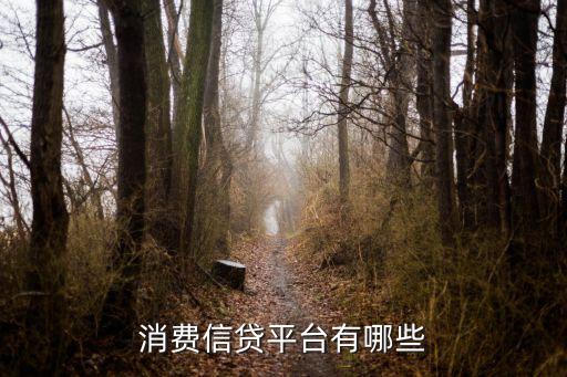 類(lèi)似捷信的貸款公司,捷信公司貸款需要還嗎