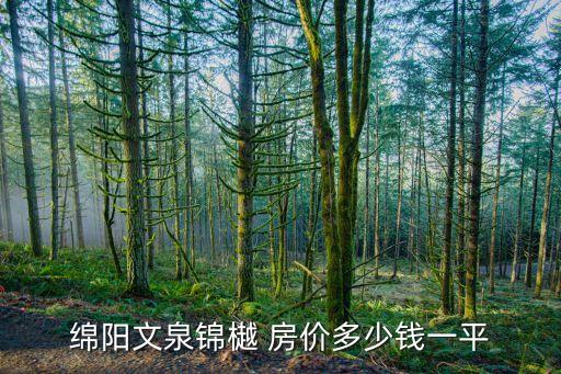 綿陽(yáng)文泉錦樾 房?jī)r(jià)多少錢(qián)一平