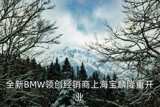 全新BMW領創(chuàng)經(jīng)銷商上海寶麟隆重開業(yè)