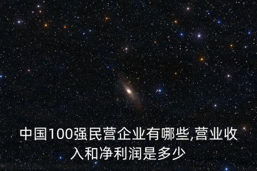 中國100強(qiáng)民營企業(yè)有哪些,營業(yè)收入和凈利潤是多少