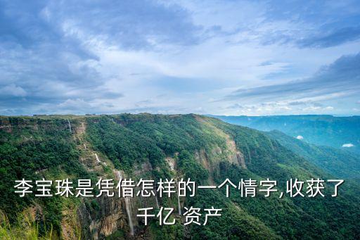 李寶珠是憑借怎樣的一個情字,收獲了千億 資產