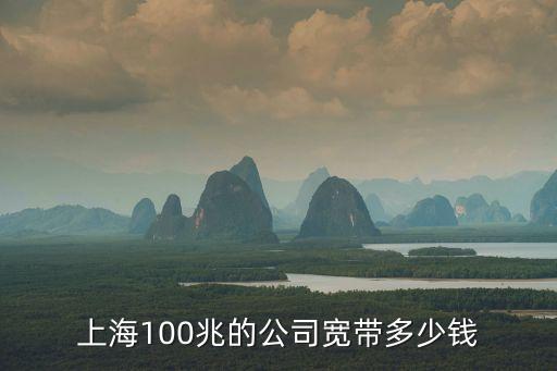 上海100兆的公司寬帶多少錢(qián)