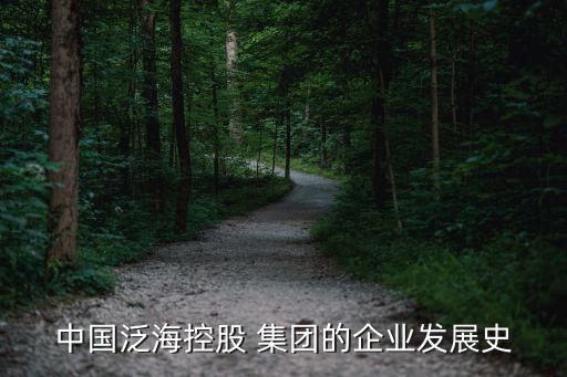 中國泛?？毓?集團(tuán)的企業(yè)發(fā)展史