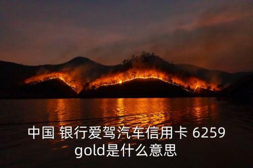 中國(guó) 銀行愛(ài)駕汽車信用卡 6259gold是什么意思