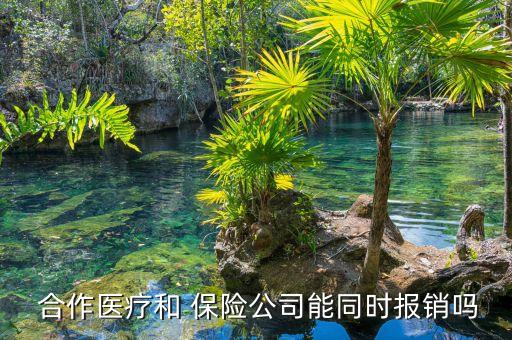  合作醫(yī)療和 保險公司能同時報銷嗎