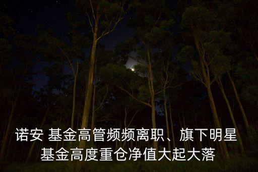 諾安 基金高管頻頻離職、旗下明星 基金高度重倉凈值大起大落