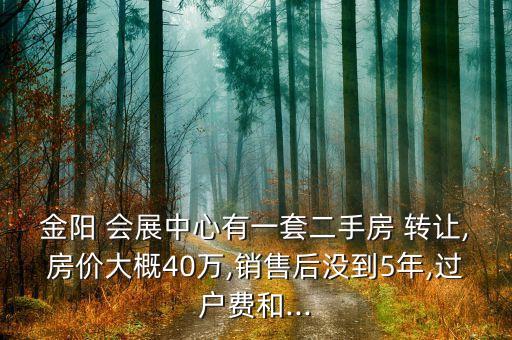 金陽(yáng) 會(huì)展中心有一套二手房 轉(zhuǎn)讓,房?jī)r(jià)大概40萬(wàn),銷(xiāo)售后沒(méi)到5年,過(guò)戶(hù)費(fèi)和...