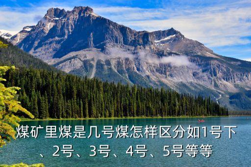  煤礦里煤是幾號煤怎樣區(qū)分如1號下、2號、3號、4號、5號等等