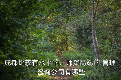 成都比較有水平的、師資高端的 管理 咨詢公司有哪些