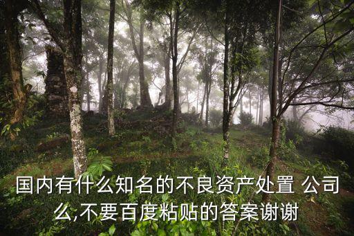 國(guó)內(nèi)有什么知名的不良資產(chǎn)處置 公司么,不要百度粘貼的答案謝謝