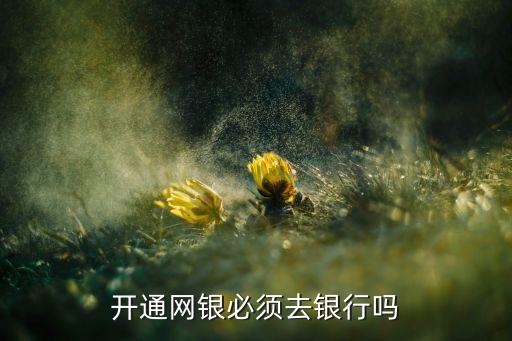開(kāi)通網(wǎng)銀必須去銀行嗎