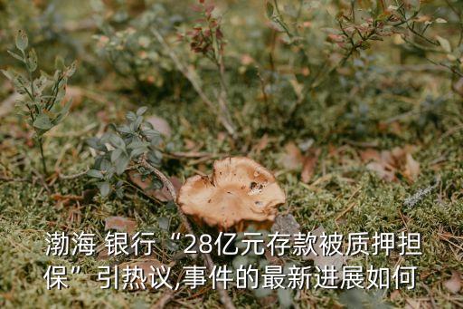  渤海 銀行“28億元存款被質(zhì)押擔?！币裏嶙h,事件的最新進展如何