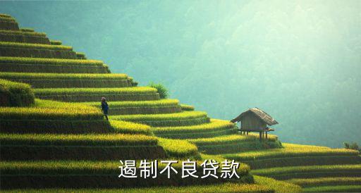 銀行業(yè)信貸資產流轉集中登記規(guī)則,信貸資產登記流轉中心