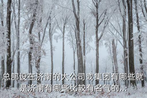 總部設(shè)在濟南的大公司或集團有哪些就是濟南有哪些比較有名氣的...