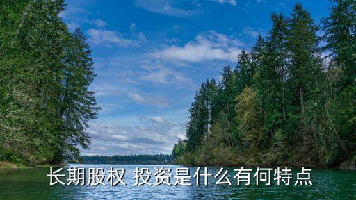 長期投資的類別及其評估特點(diǎn),下列有關(guān)長期投資評估特點(diǎn)說法錯誤的是