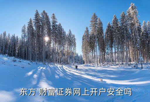  東方 財(cái)富證券網(wǎng)上開戶安全嗎
