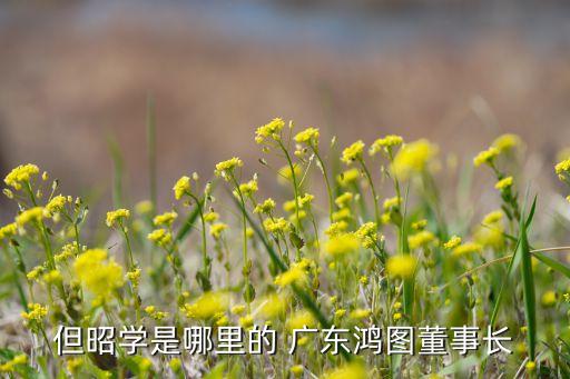 但昭學是哪里的 廣東鴻圖董事長