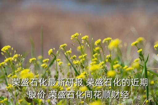  榮盛石化最新研報 榮盛石化的近期股價 榮盛石化同花順財經