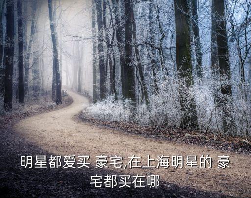 明星都愛(ài)買 豪宅,在上海明星的 豪宅都買在哪