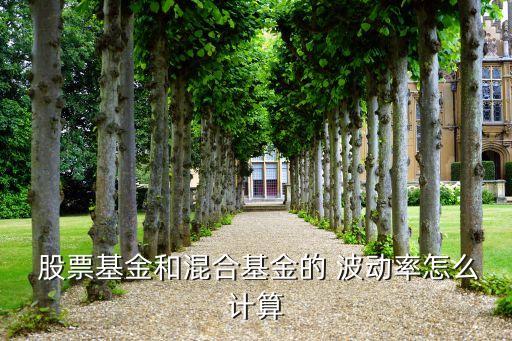  股票基金和混合基金的 波動率怎么計(jì)算
