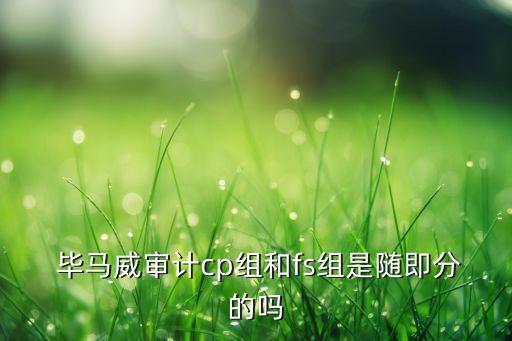  畢馬威審計cp組和fs組是隨即分的嗎