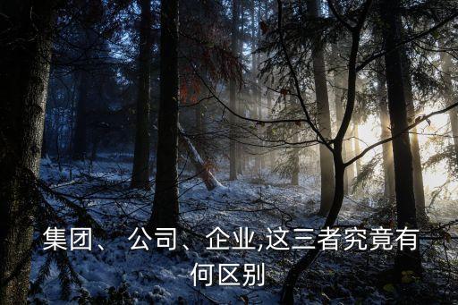  集團(tuán)、 公司、企業(yè),這三者究竟有何區(qū)別