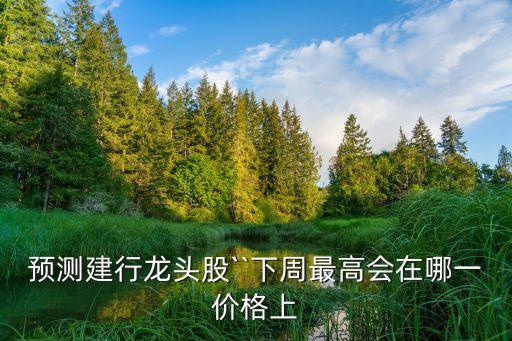 預(yù)測建行龍頭股``下周最高會在哪一價格上