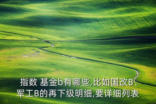  指數 基金b有哪些,比如國改B、軍工B的再下級明細,要詳細列表