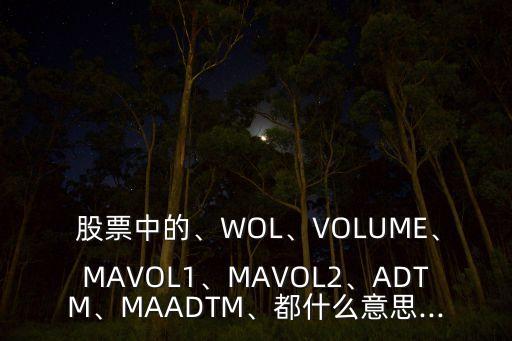  股票中的、WOL、VOLUME、MAVOL1、MAVOL2、ADTM、MAADTM、都什么意思...