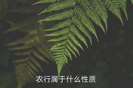 企業(yè)農業(yè)銀行