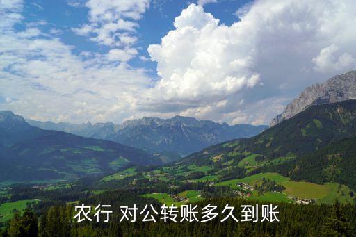 農(nóng)行 對公轉賬多久到賬