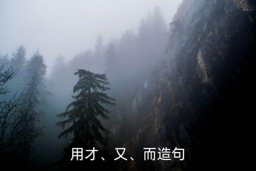 用才、又、而造句