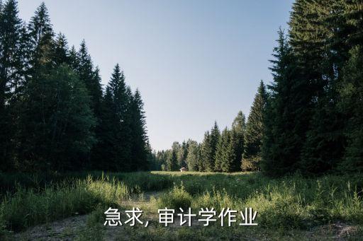 急求, 審計學作業(yè)