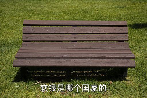 美國主權財富基金研究所,美國的主權財富基金